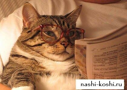 забота о животных