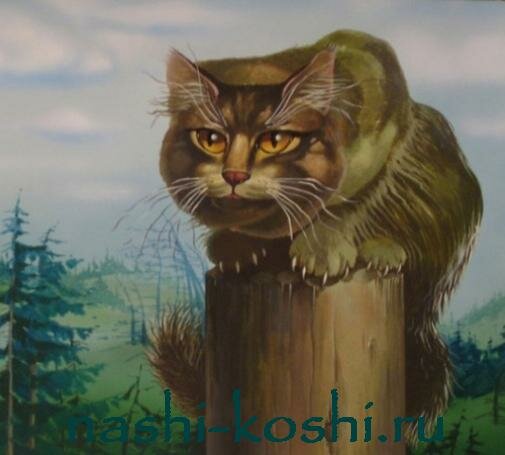 Ёшкин кот