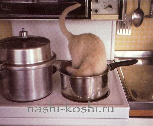 опасности в доме. кухня
