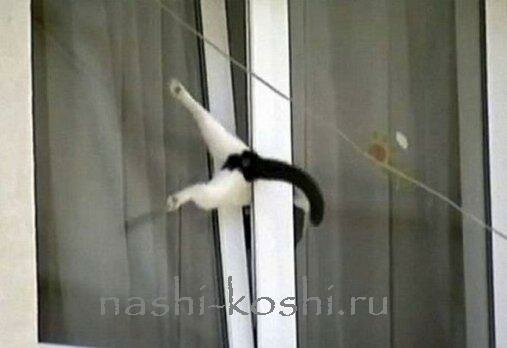 опасности в доме. окна и балконы