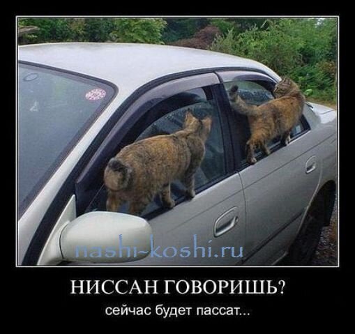 дороги и автомобили