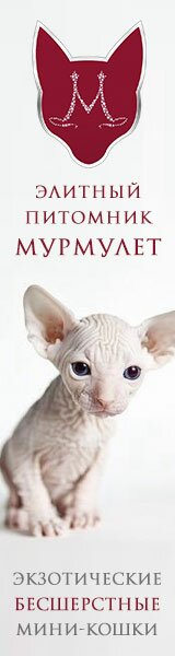 Bezsherst_160x600px
