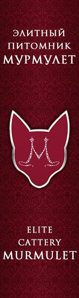 Murmulet_160x600px