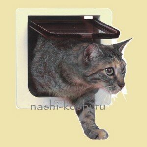 дверца для кошки своими руками