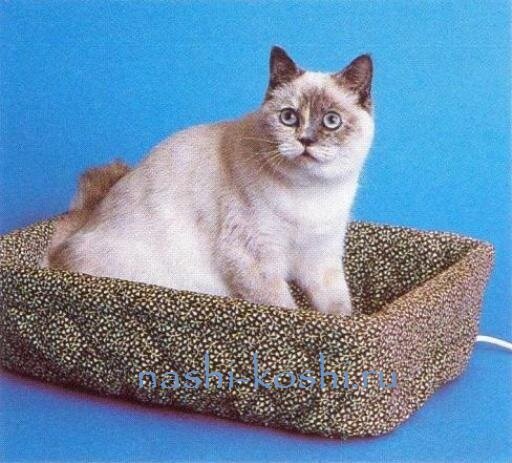артрит у кошек
