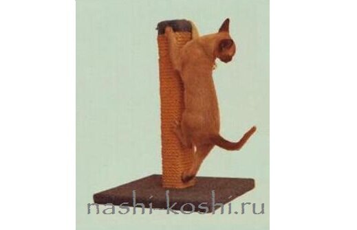 отучить кота драть мебель