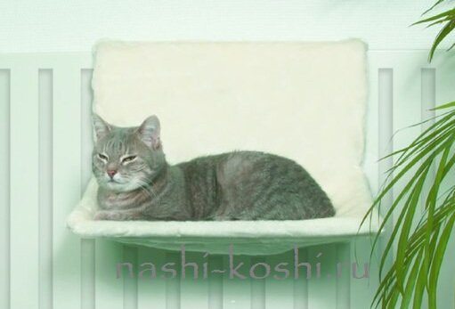 лежанки для кошек