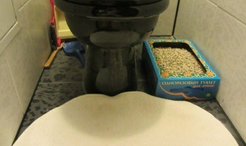одноразовый туалет для кошек