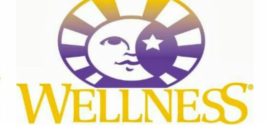 корм для кошек Wellness